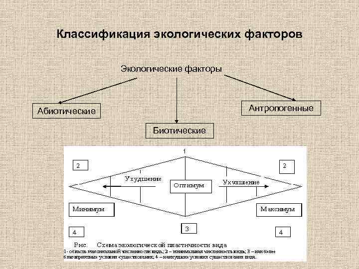   Классификация экологических факторов   Экологические факторы  Абиотические   