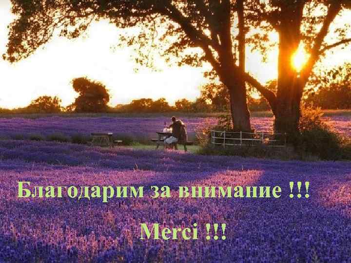 Благодарим за внимание !!!  Merci !!! 