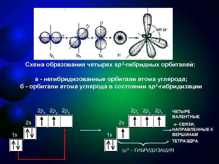 Бутадиен гибридизация атома углерода