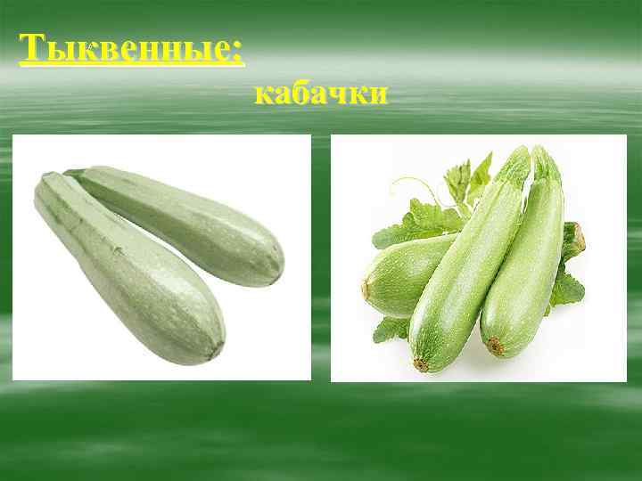Тыквенные:    кабачки 