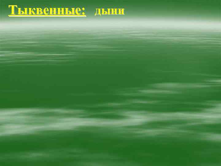 Тыквенные: дыни 