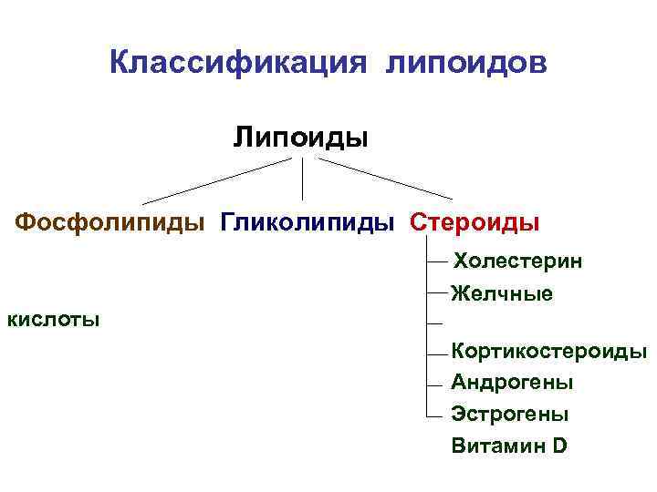    Классификация липоидов   Липоиды Фосфолипиды Гликолипиды Стероиды   