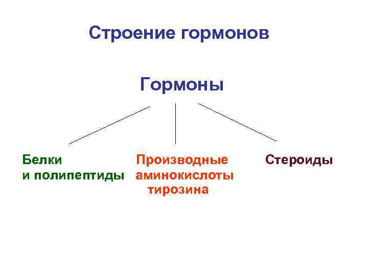 Классификация гормонов картинки