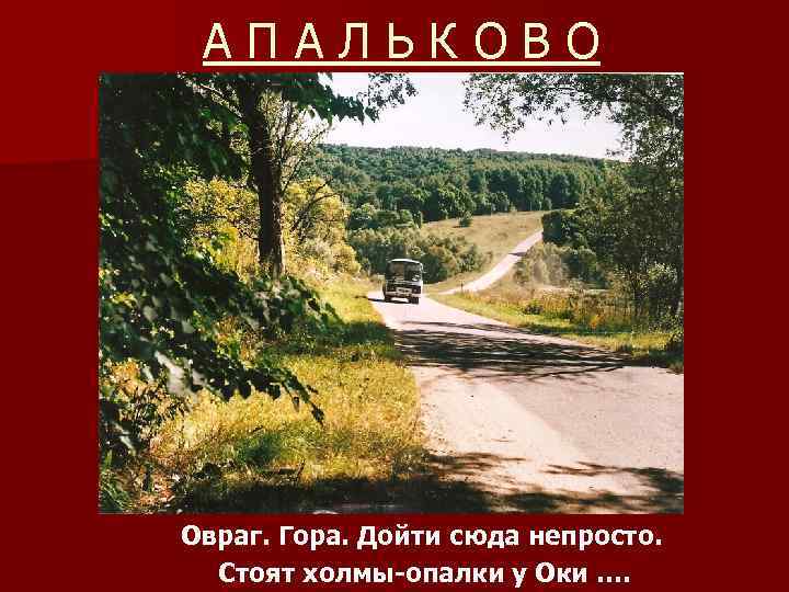 АПАЛЬКОВО Овраг. Гора. Дойти сюда непросто. Стоят холмы-опалки у Оки …. 