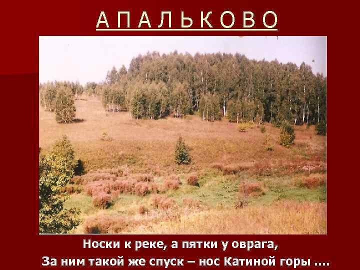 АПАЛЬКОВО Носки к реке, а пятки у оврага, За ним такой же спуск –