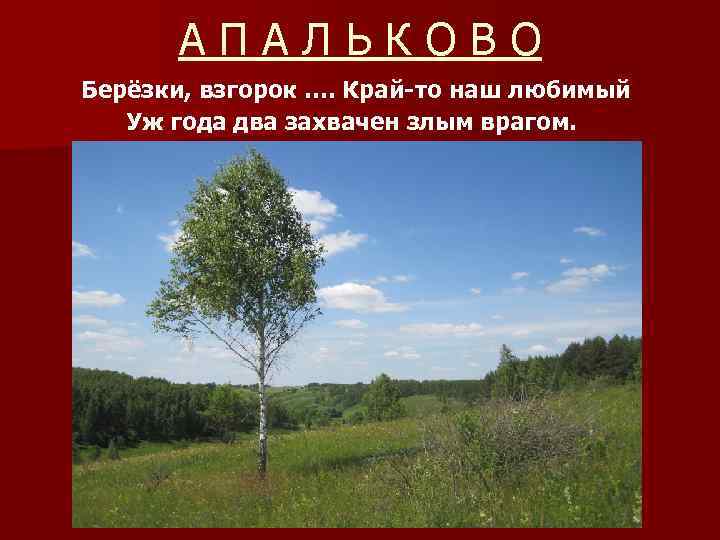 АПАЛЬКОВО Берёзки, взгорок …. Край-то наш любимый Уж года два захвачен злым врагом. 