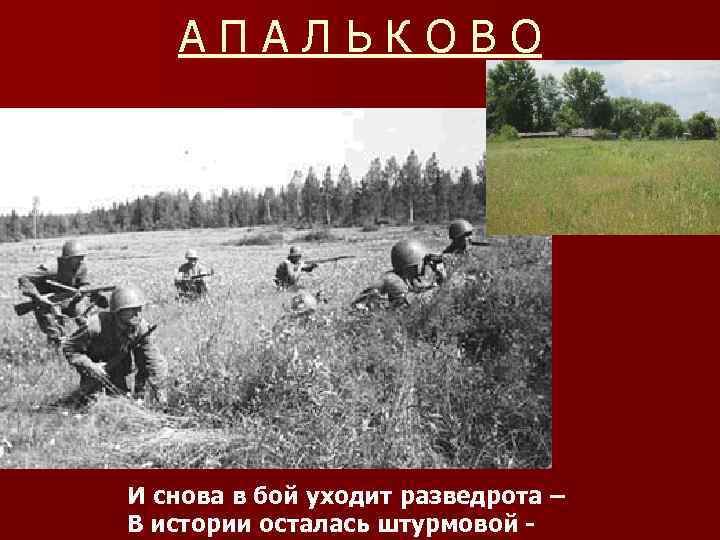 АПАЛЬКОВО И снова в бой уходит разведрота – В истории осталась штурмовой - 