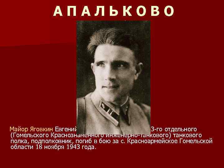 АПАЛЬКОВО Майор Яговкин Евгений Петрович – командир 253 -го отдельного (Гомельского Краснознамённого инженерно-танкового) танкового