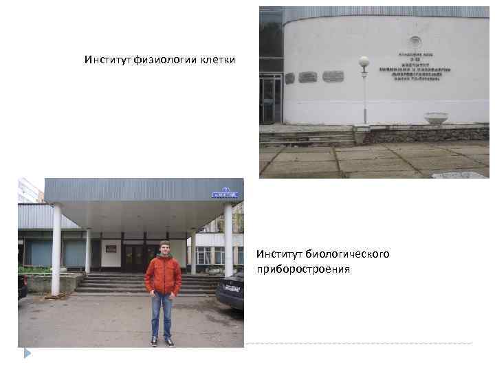 Институт физиологии клетки Институт биологического приборостроения 