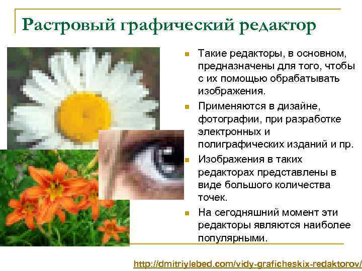 Растровый графический редактор n n Такие редакторы, в основном, предназначены для того, чтобы с