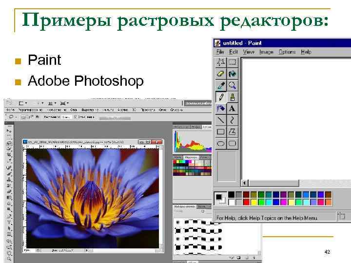 Примеры растровых редакторов: n n Paint Adobe Photoshop 42 