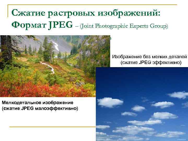 Сжатие растровых изображений: Формат JPEG – (Joint Photographic Experts Group) Объединённая группа фото-экспертов Изображение