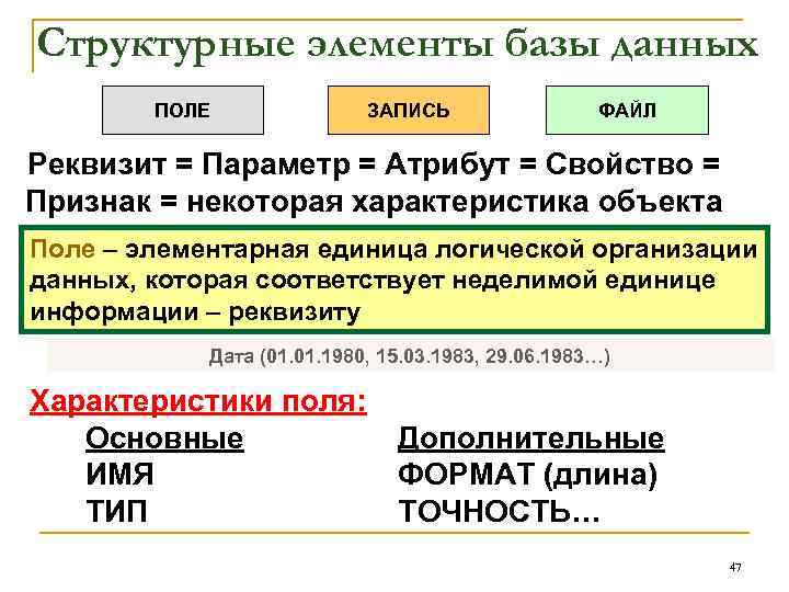 Структурные элементы базы данных ПОЛЕ ЗАПИСЬ ФАЙЛ Реквизит = Параметр = Атрибут = Свойство