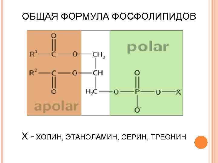 Треонин формула