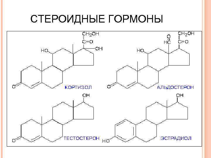 СТЕРОИДНЫЕ ГОРМОНЫ 