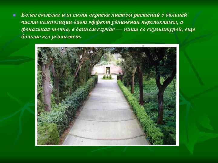 n Более светлая или сизая окраска листвы растений в дальней части композиции дает эффект