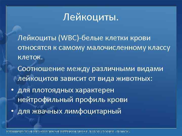 Лейкоциты (WBC)-белые клетки крови относятся к самому малочисленному классу клеток. Соотношение между различными видами