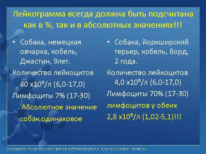 Лейкограмма всегда должна быть подсчитана как в %, так и в абсолютных значениях!!! •