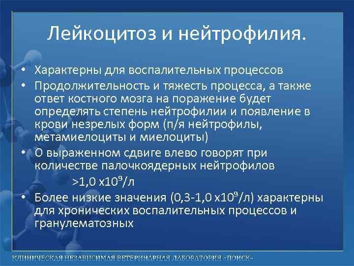 Лейкоцитоз и нейтрофилия. • Характерны для воспалительных процессов • Продолжительность и тяжесть процесса, а