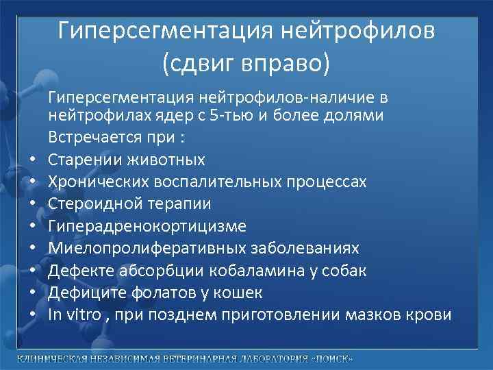 Гиперсегментация нейтрофилов (сдвиг вправо) • • Гиперсегментация нейтрофилов-наличие в нейтрофилах ядер с 5 -тью