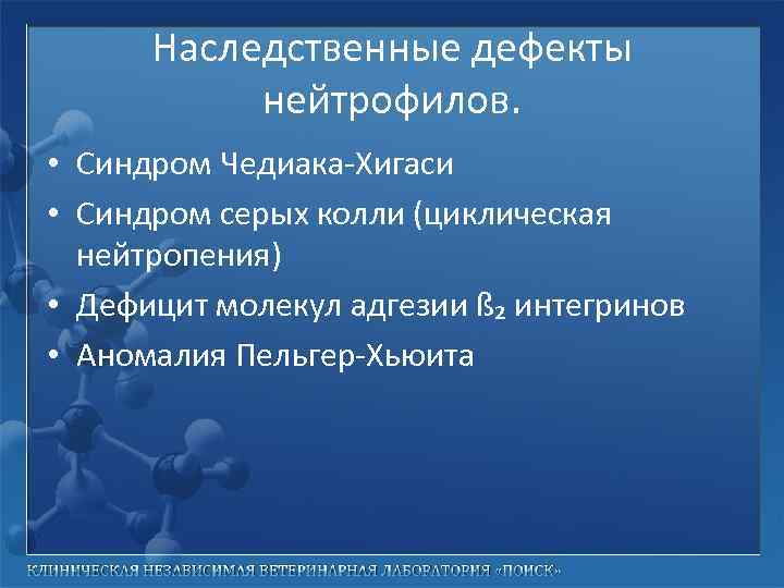 Наследственные дефекты нейтрофилов. • Синдром Чедиака-Хигаси • Синдром серых колли (циклическая нейтропения) • Дефицит