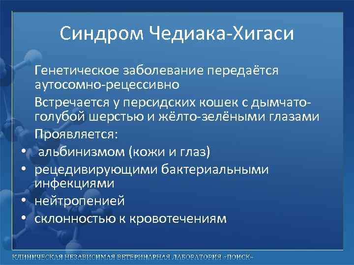 Синдром Чедиака-Хигаси • • Генетическое заболевание передаётся аутосомно-рецессивно Встречается у персидских кошек с дымчатоголубой