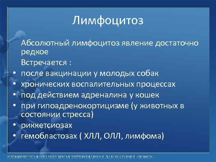 Лимфоцитоз • • • Абсолютный лимфоцитоз явление достаточно редкое Встречается : после вакцинации у