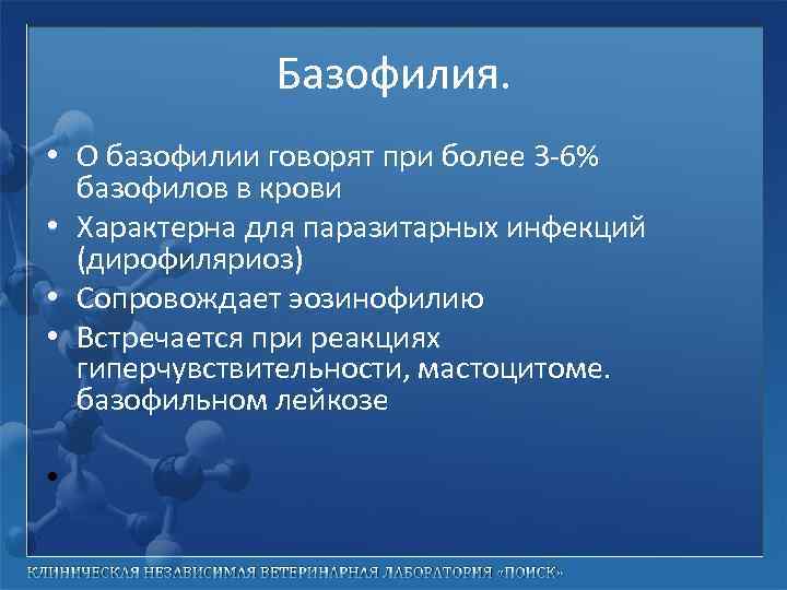 Базофилия. • О базофилии говорят при более 3 -6% базофилов в крови • Характерна