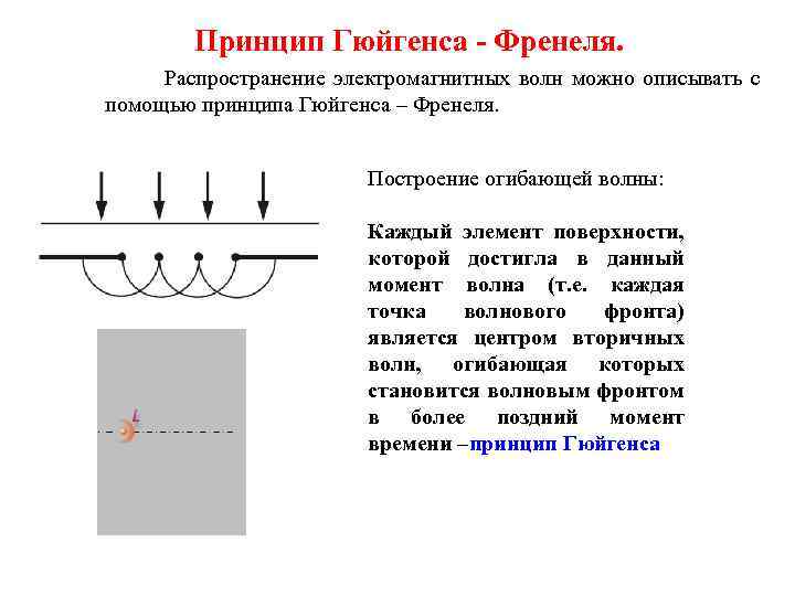 Принцип Гюйгенса - Френеля. Распространение электромагнитных волн можно описывать с помощью принципа Гюйгенса –