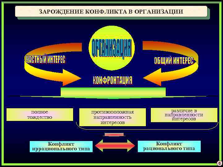 Полная организация