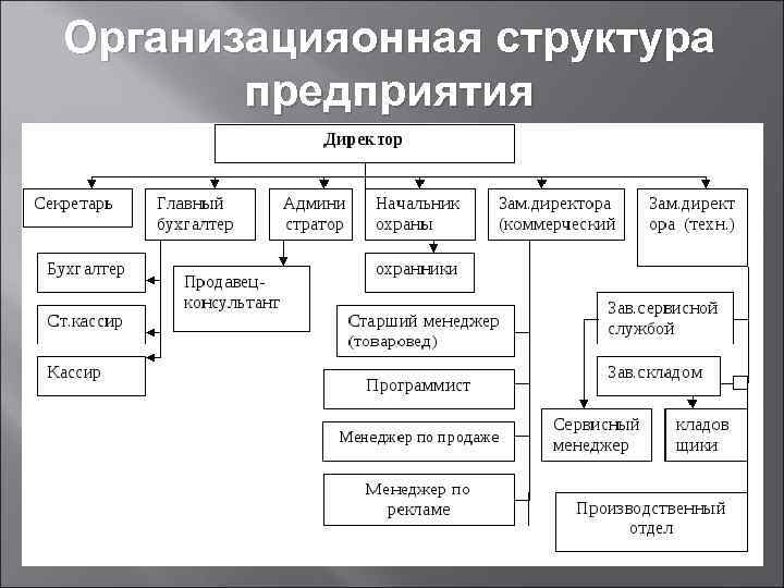 Организацияонная структура предприятия 