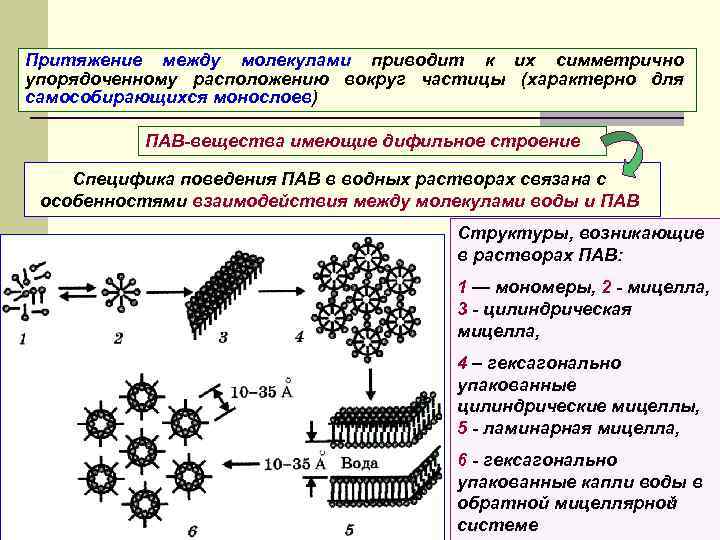 Притяжение между молекулами приводит к их симметрично упорядоченному расположению вокруг частицы (характерно для самособирающихся