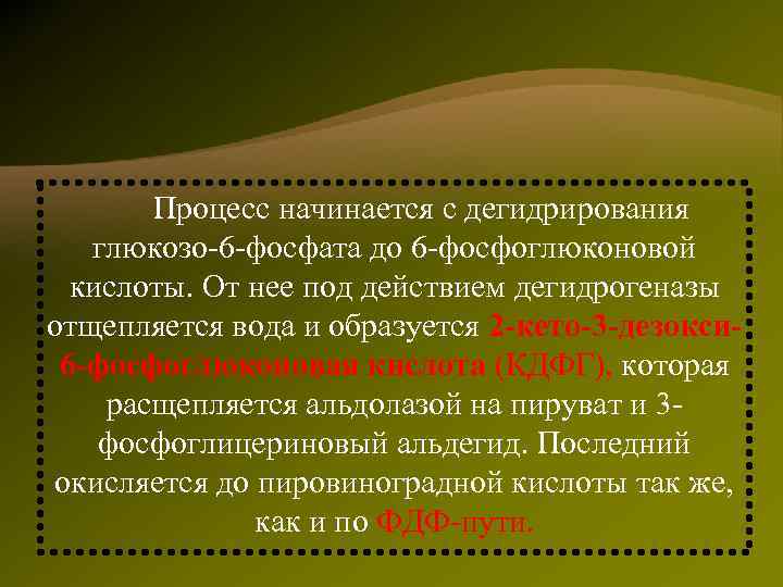  На каждую молекулу глюкозы    образуется:   - молекула АТФ,