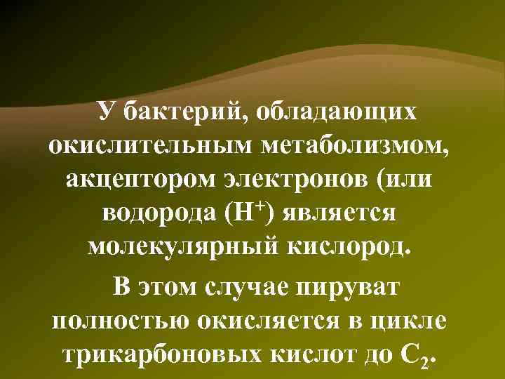 Цикл трикарбоновых кислот (цикл Кребса) 