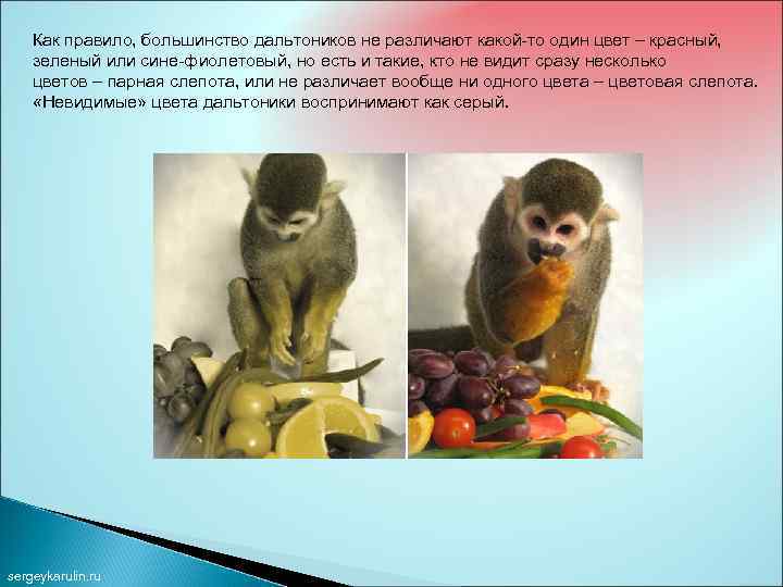Как правило, большинство дальтоников не различают какой-то один цвет – красный, зеленый или сине-фиолетовый,