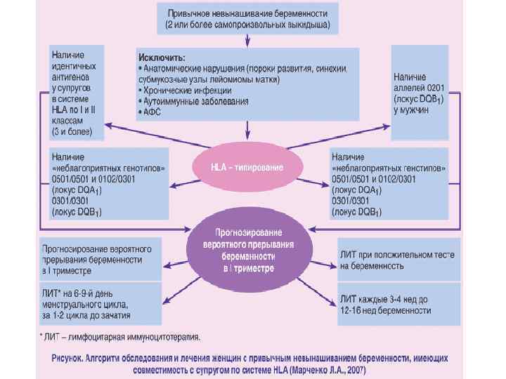 Невынашивание беременности. Структура невынашивания беременности. Обследование невынашивания беременности. Схема невынашивания беременности. Тактика ведения беременных с невынашиванием.