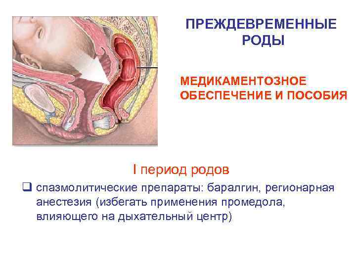 ПРЕЖДЕВРЕМЕННЫЕ РОДЫ МЕДИКАМЕНТОЗНОЕ ОБЕСПЕЧЕНИЕ И ПОСОБИЯ I период родов q спазмолитические препараты: баралгин, регионарная