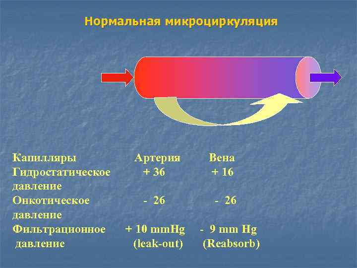 Нормальная микроциркуляция Капилляры Гидростатическое давление Онкотическое давление Фильтрационное давление Артерия + 36 - 26