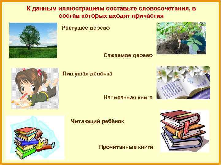 К данным иллюстрациям составьте словосочетания, в состав которых входят причастия Растущее дерево Сажаемое дерево