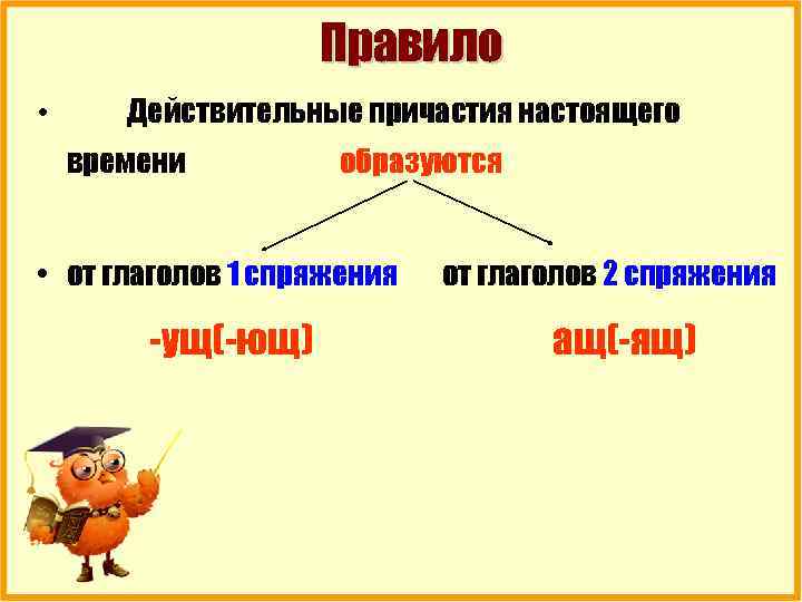Правило • Действительные причастия настоящего времени образуются • от глаголов 1 спряжения -ущ(-ющ) от