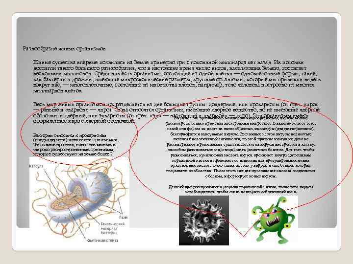 Разнообразие живых организмов Живые существа впервые появились на Земле примерно три с половиной миллиарда