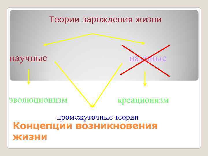    Теории зарождения жизни  научные  эволюционизм   креационизм 
