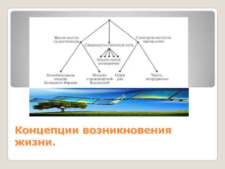 Концепции возникновения жизни. 