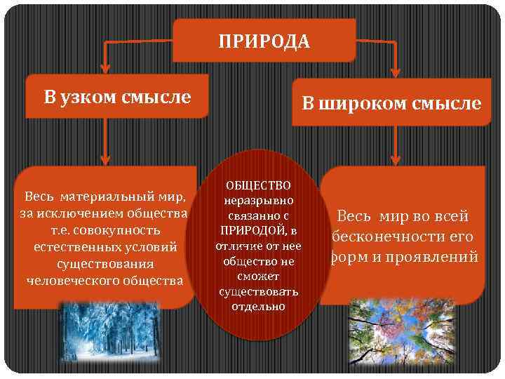 ПРИРОДА В узком смысле Весь материальный мир, за исключением общества, т. е. совокупность естественных