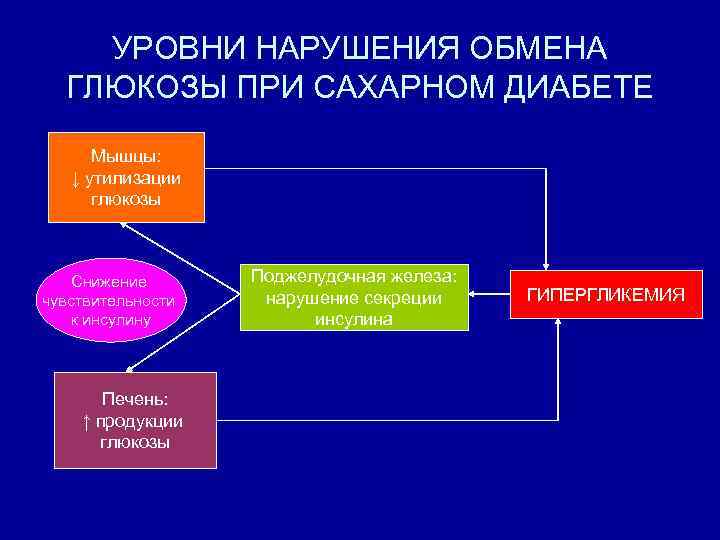 УРОВНИ НАРУШЕНИЯ ОБМЕНА ГЛЮКОЗЫ ПРИ САХАРНОМ ДИАБЕТЕ Мышцы: ↓ утилизации глюкозы Снижение чувствительности к