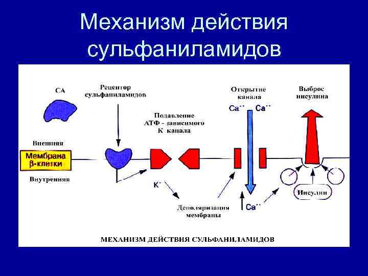 Механизм действия сульфаниламидов 