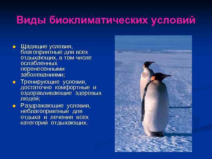   Виды биоклиматических условий n  Щадящие условия, благоприятные для всех отдыхающих, в