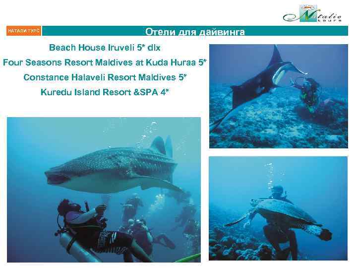 НАТАЛИ ТУРС Отели для дайвинга Beach House Iruveli 5* dlx Four Seasons Resort Maldives
