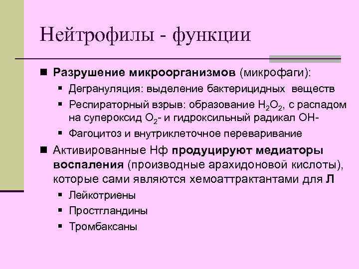 Нейтрофилы - функции n Разрушение микроорганизмов (микрофаги): § Дегрануляция: выделение бактерицидных веществ  §