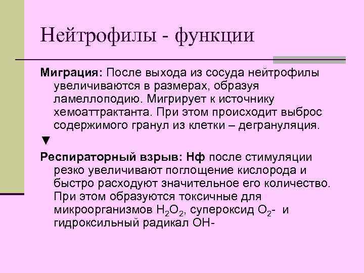 Нейтрофилы - функции Миграция: После выхода из сосуда нейтрофилы  увеличиваются в размерах, образуя